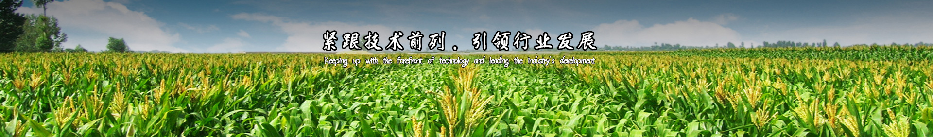 Ŀλ